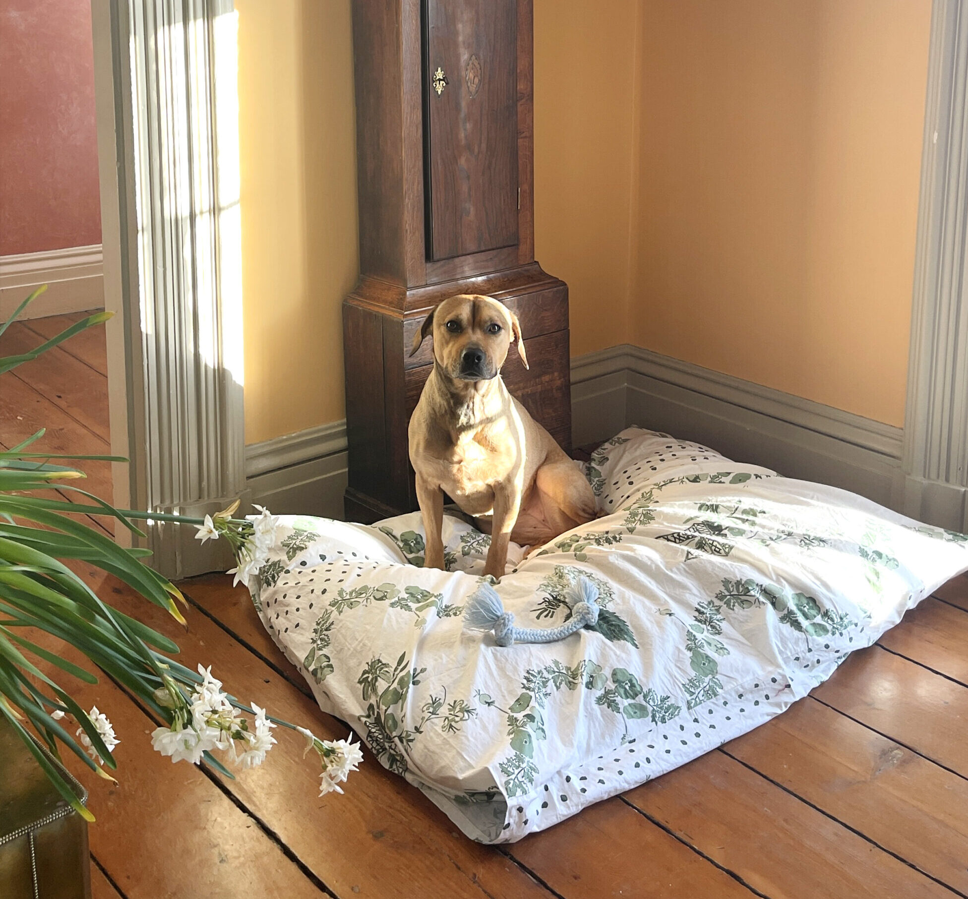 In Stock and Ready to Ship